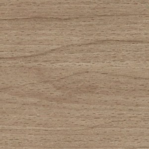 Zaślepka samoprzylepna F14/335 Buk Wiedeń- 25 szt.